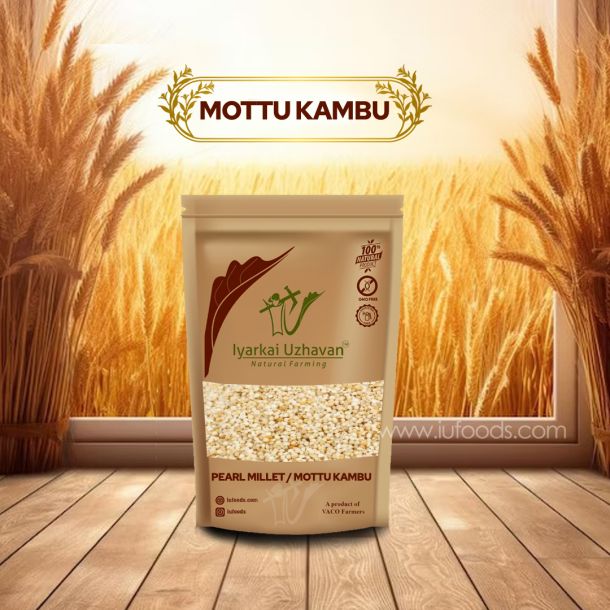 NATTU KAMBU